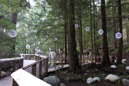 �o���N�[�o�[�S�S