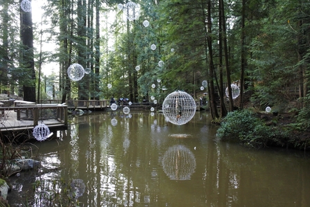 �o���N�[�o�[�S�U