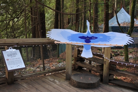 �o���N�[�o�[�S�V