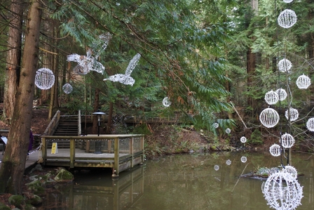 �o���N�[�o�[�S�W