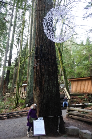 �o���N�[�o�[�S�X