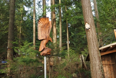 �o���N�[�o�[�T�P