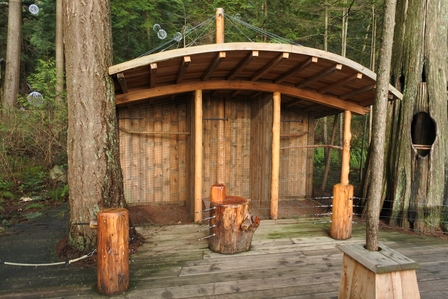 �o���N�[�o�[�T�Q