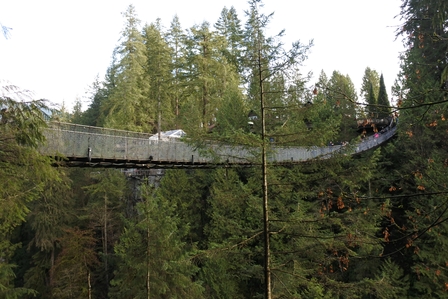 �o���N�[�o�[�T�S