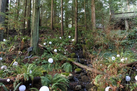 �o���N�[�o�[�T�T