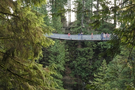 �o���N�[�o�[�T�V