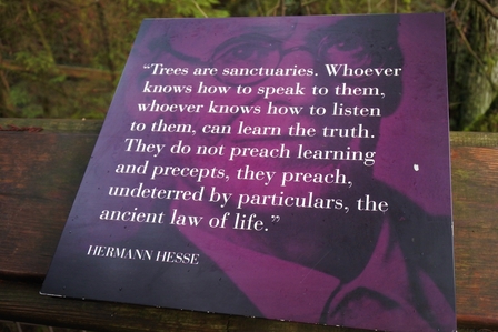 �o���N�[�o�[�U�O