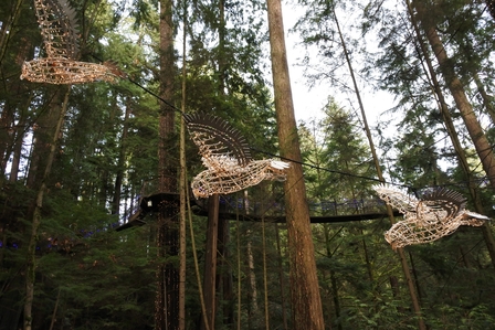 �o���N�[�o�[�U�R