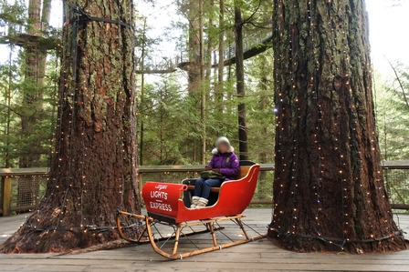 �o���N�[�o�[�U�S