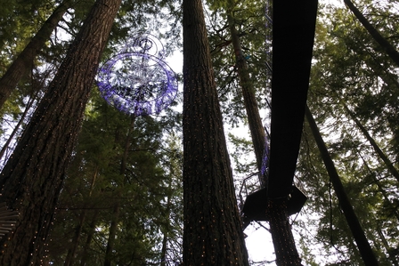 �o���N�[�o�[�U�T