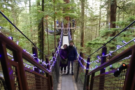 �o���N�[�o�[�V�O