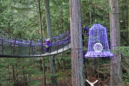 �o���N�[�o�[�V�P