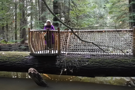 �o���N�[�o�[�V�Q