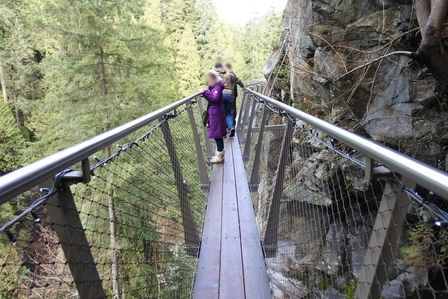 �o���N�[�o�[�V�V