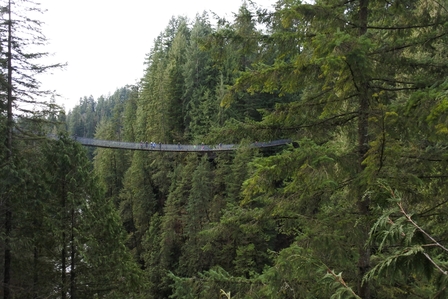 �o���N�[�o�[�V�X