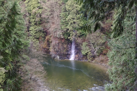 �o���N�[�o�[�W�O