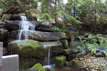 �o���N�[�o�[�W�P