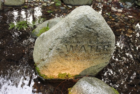 �o���N�[�o�[�W�Q