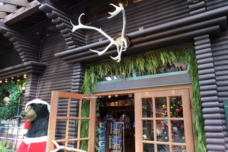 �o���N�[�o�[�W�V