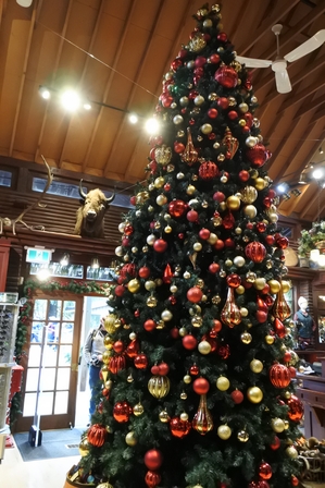 �o���N�[�o�[�W�W