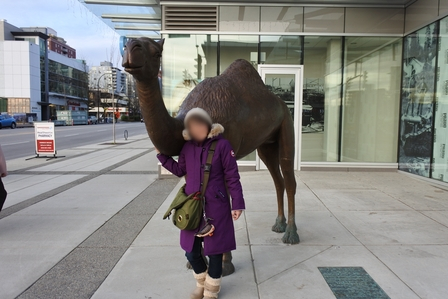 �o���N�[�o�[�P�O�P