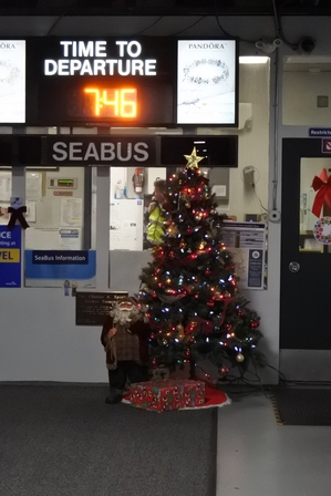 �o���N�[�o�[�P�O�S