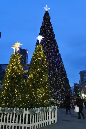 �o���N�[�o�[�P�P�Q