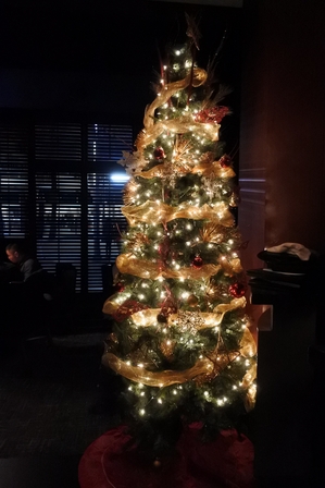 �o���N�[�o�[�P�P�T