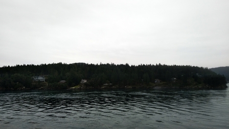 �o���N�[�o�[�P�V