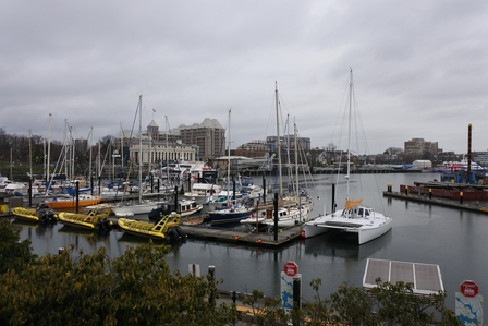 �o���N�[�o�[�Q�W