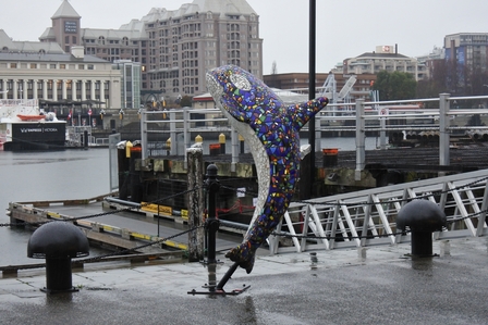 �o���N�[�o�[�S�T