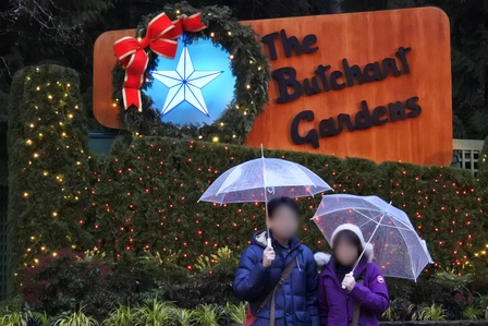 �o���N�[�o�[�S�V