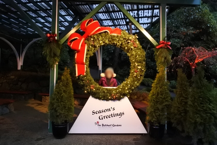 �o���N�[�o�[�S�W