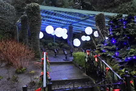 �o���N�[�o�[�T�O