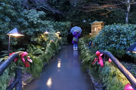 �o���N�[�o�[�T�Q