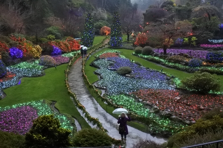 �o���N�[�o�[�T�S