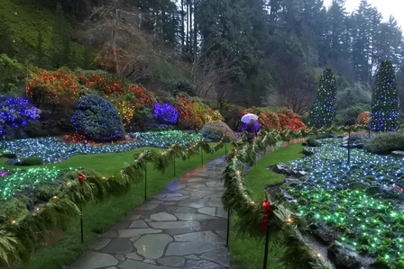 �o���N�[�o�[�T�T