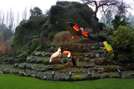 �o���N�[�o�[�T�U