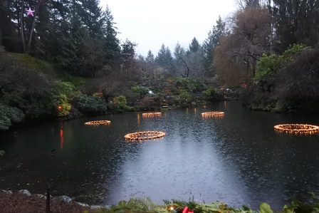 �o���N�[�o�[�T�V