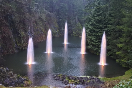 �o���N�[�o�[�T�W