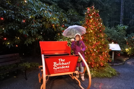 �o���N�[�o�[�T�X