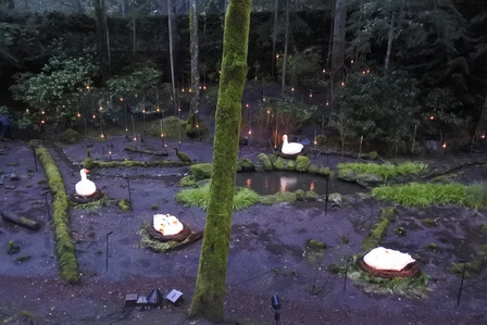 �o���N�[�o�[�U�O