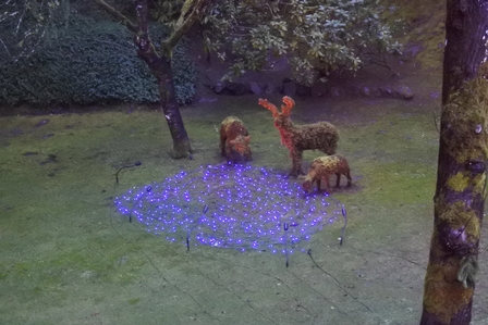 �o���N�[�o�[�U�P