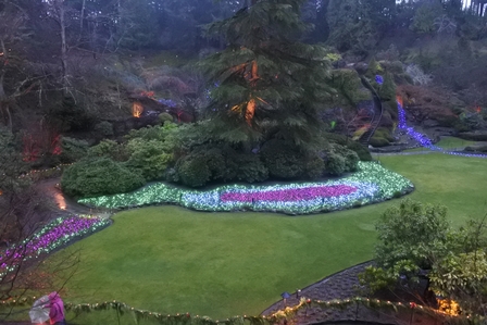 �o���N�[�o�[�U�Q