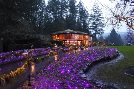 �o���N�[�o�[�U�R