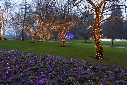 �o���N�[�o�[�U�T