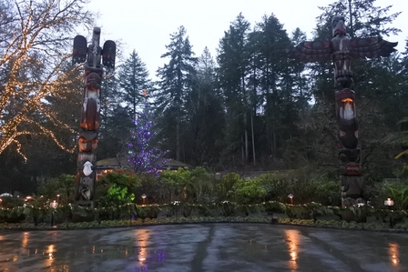 �o���N�[�o�[�U�U