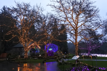 �o���N�[�o�[�U�V