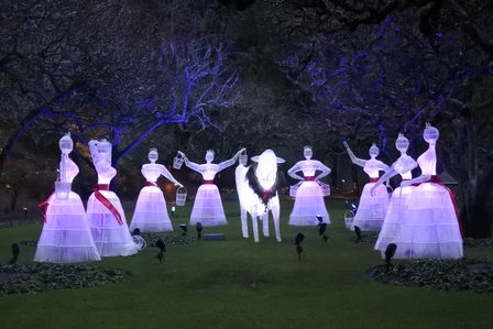 �o���N�[�o�[�V�O