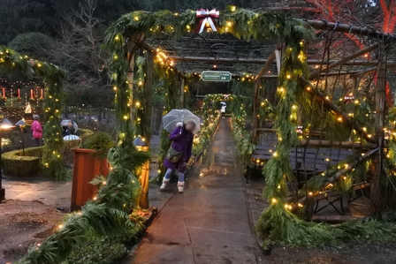 �o���N�[�o�[�V�P